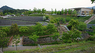 dsc00198_thumb.jpg