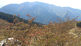 dsc_0326_thumb.jpg