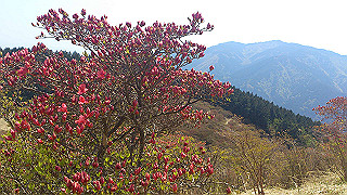 dsc_0328_thumb.jpg
