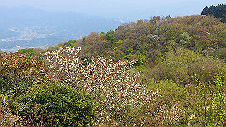 dsc_0329_thumb.jpg