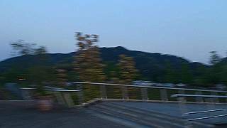 dsc_0341_thumb.jpg