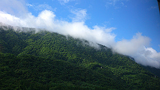dsc_0009_thumb.jpg