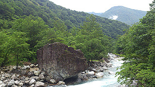 dsc_0515_thumb.jpg