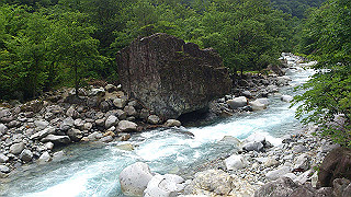 dsc_0519_thumb.jpg