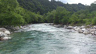 dsc_0525_thumb.jpg