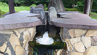 dsc_0533_thumb.jpg