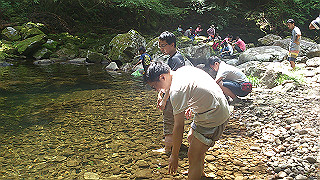 dsc_0571_thumb.jpg