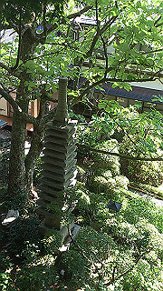 dsc_0589_thumb.jpg