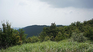dsc00001_thumb.jpg