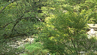 dsc_0629_thumb.jpg