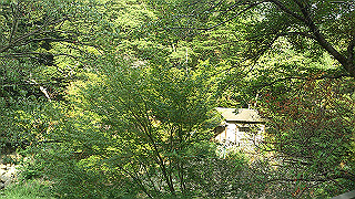 dsc_0630_thumb.jpg