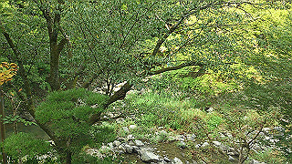 dsc_0631_thumb.jpg