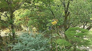 dsc_0632_thumb.jpg