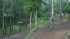 20130824006_thumb.jpg