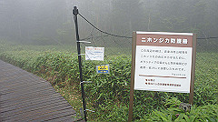 20130824028_thumb.jpg