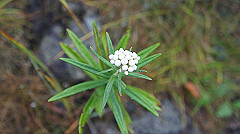 20130824031_thumb.jpg