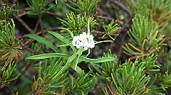 20130824036_thumb.jpg