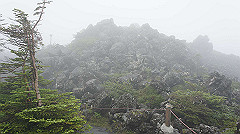 20130824037_thumb.jpg