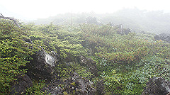 20130824038_thumb.jpg