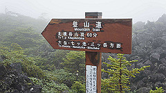 20130824040_thumb.jpg