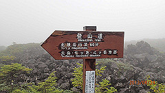 20130824043_thumb.jpg