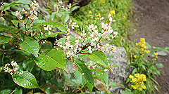 20130824044_thumb.jpg
