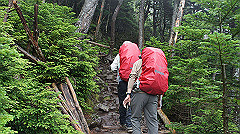 20130824045_thumb.jpg