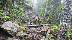 20130824046_thumb.jpg