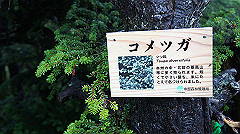 20130824050_thumb.jpg