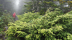 20130824051_thumb.jpg