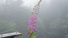 20130824063_thumb.jpg