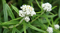 20130824067_thumb.jpg