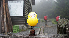 20130824073_thumb.jpg