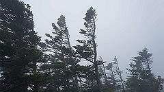 20130824088_thumb.jpg