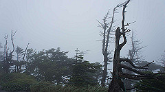 20130824089_thumb.jpg
