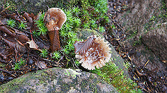 20130824096_thumb.jpg