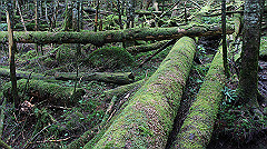 20130824100_thumb.jpg