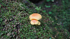 20130824101_thumb.jpg