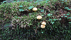 20130824105_thumb.jpg