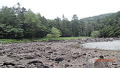 20130824116_thumb.jpg