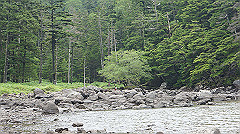20130824120_thumb.jpg