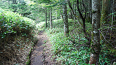 20130824127_thumb.jpg
