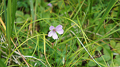 20130824131_thumb.jpg