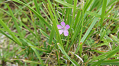 20130824132_thumb.jpg