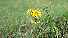 20130824135_thumb.jpg