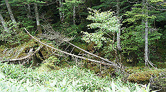 20130824138_thumb.jpg