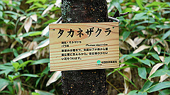 20130824140_thumb.jpg