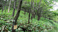 20130824141_thumb.jpg