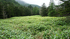 20130824142_thumb.jpg