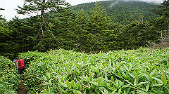 20130824143_thumb.jpg